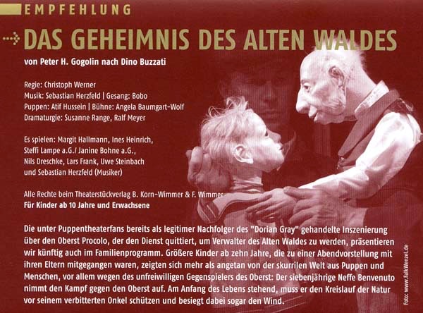 Endlich: Das Geheimnis des alten Waldes