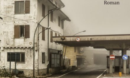 „atmosphärisch starke Bilder“ – Gesa Schröder mit „Auf der Passhöhe“ bei den Gmüder Literaturtagen
