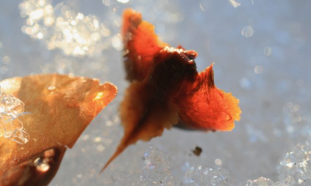 Als ich ein Kind (von Vera Botterbusch)