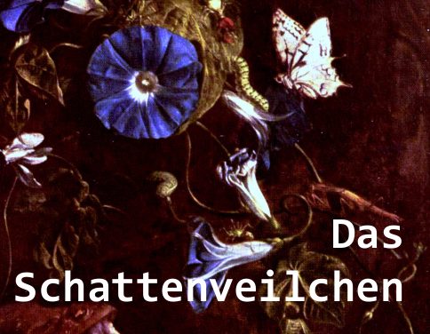 Dichterlesung: Dorothea Renckhoff liest aus „Das Schattenveilchen“