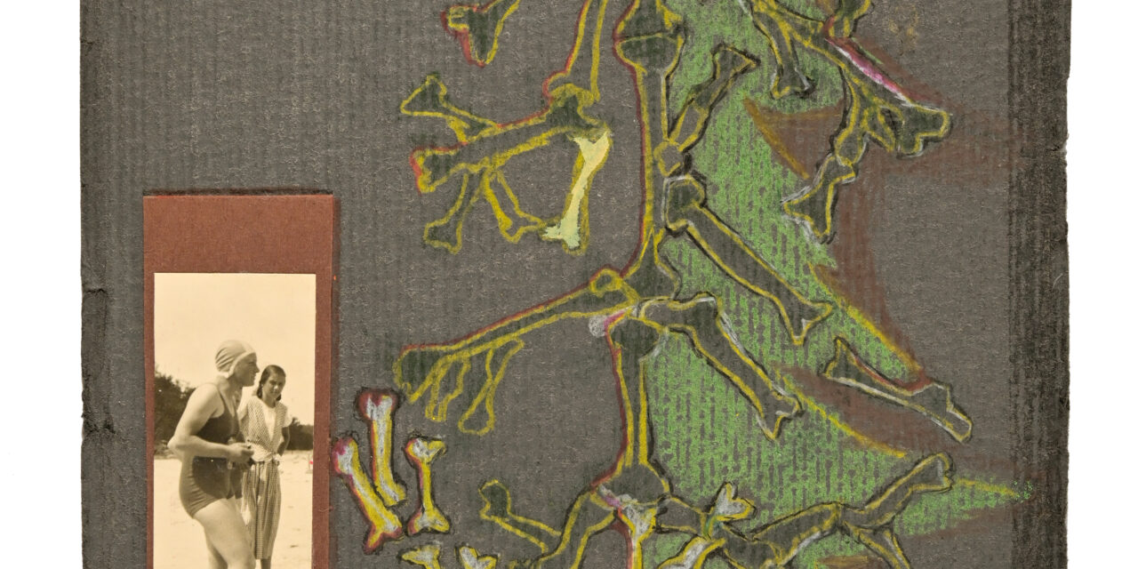 Vom Grauen unter Tannenbäumen