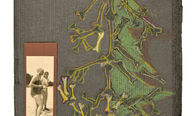 Vom Grauen unter Tannenbäumen