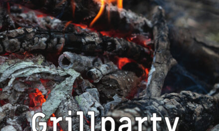 Ein wichtiges Buch, das ins Zentrum unserer ökologischen und gesellschaftlichen Misere zielt. (Heinrich von der Haar: Grillparty in Eichforst)