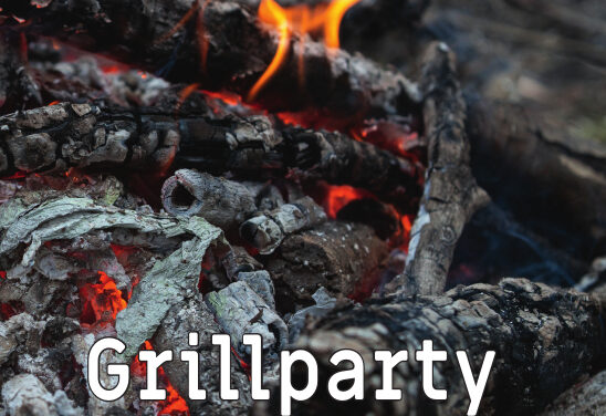 Ein wichtiges Buch, das ins Zentrum unserer ökologischen und gesellschaftlichen Misere zielt. (Heinrich von der Haar: Grillparty in Eichforst)