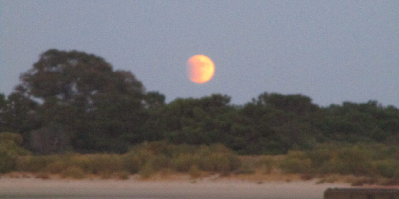 Requiem für eine Insel