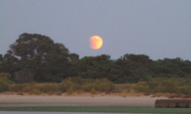 Requiem für eine Insel