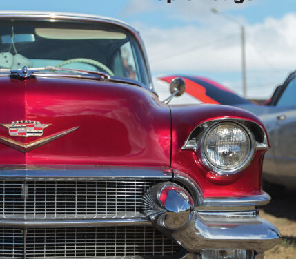 „Seele? Was heißt da Seele. Es geht um Geld.“