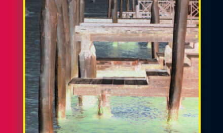 Spannendes Venedig (Gesa Schröder: Dunkle Milch)